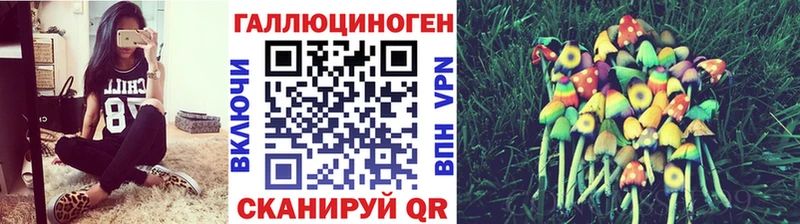 Купить закладки  Озёры  Псилоцибиновые грибы Psilocybine cubensis 