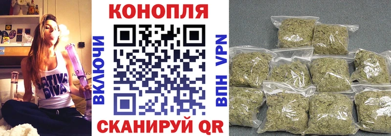 Шишки марихуана THC 21%  Купить где  Озёры 